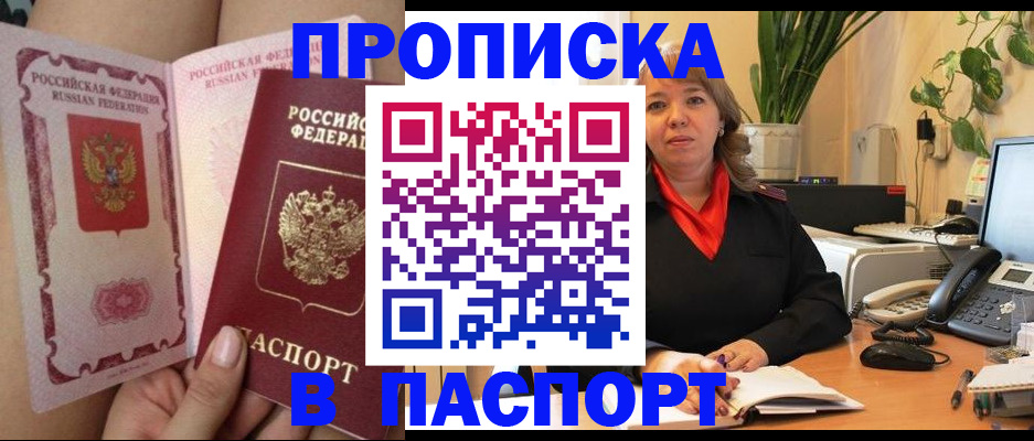 прописка поиск в Котово